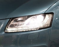 Matt Cast Light Smoke