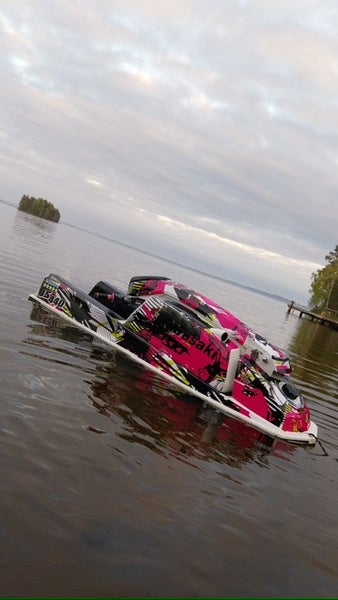 QZ Professor (useita v&auml;rej&auml;) QZ3707